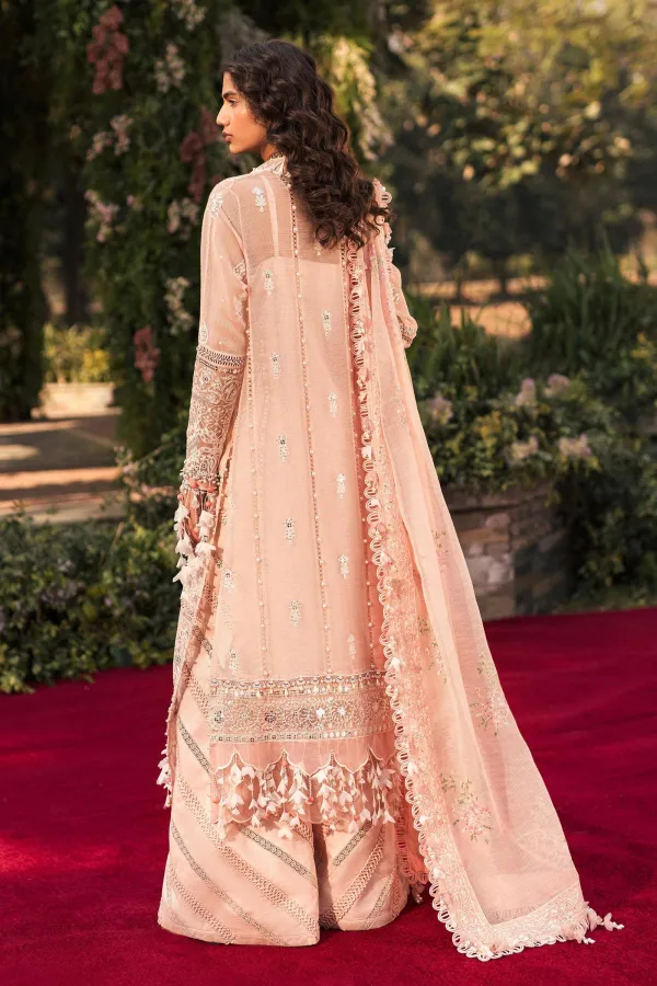 Luxury Embroidered Lawn Suits