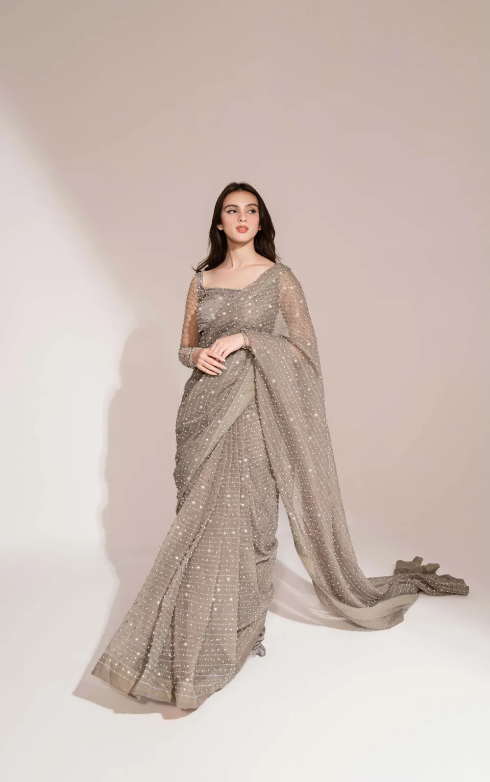 Gray Crystal Saree