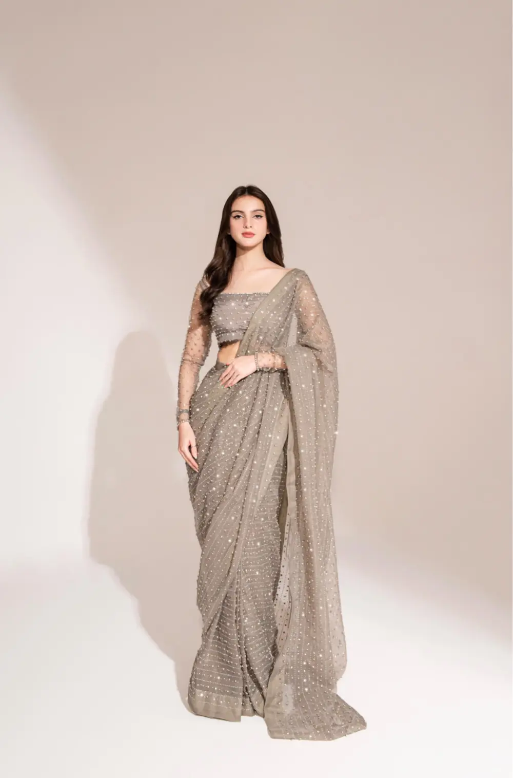 Gray Crystal Saree