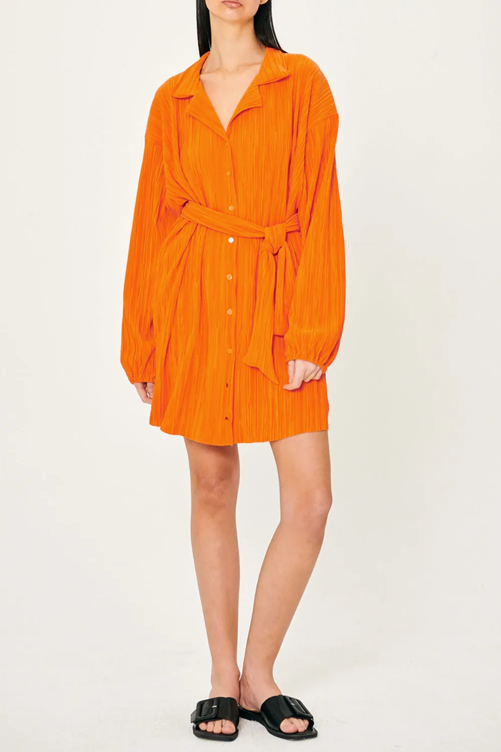 Sandra Plisse Shirt Dress