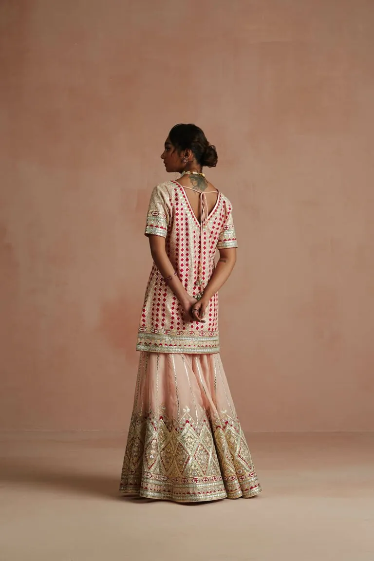 Blush Pink & Crimson Gota Embroidered Gharara Set