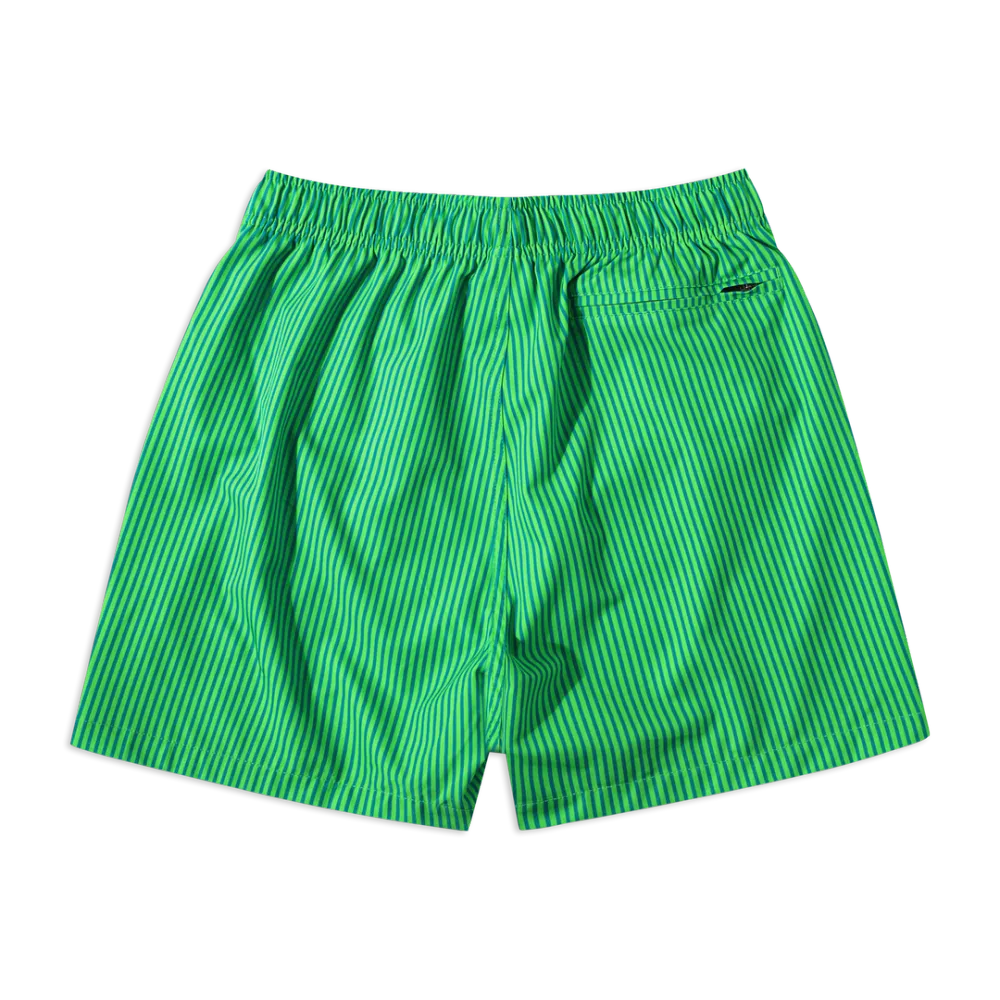 Boys Striped Swim-Green