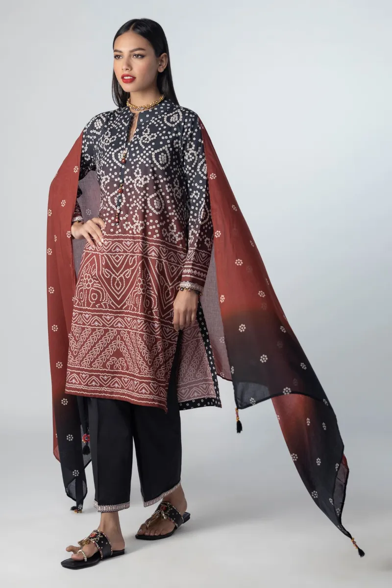 2 Piece Kurta | Embroidered & Pants Brown