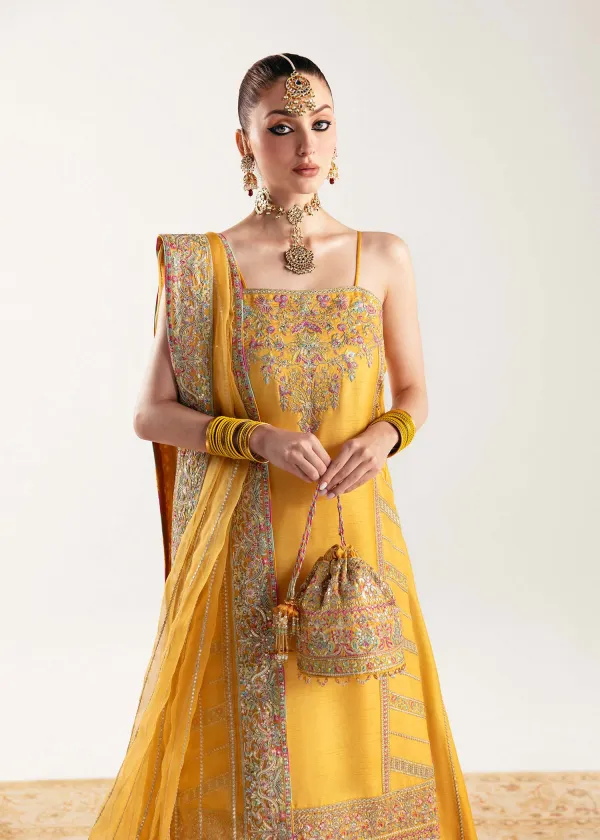 Nehal Embroidered Sets