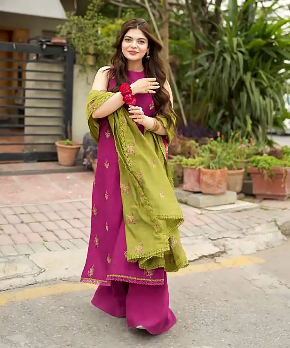 3 Piece - Embroidered Khaddi Net Suit