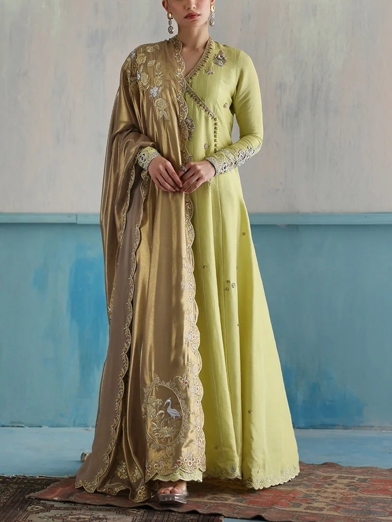 Elegant embroidered kaftan